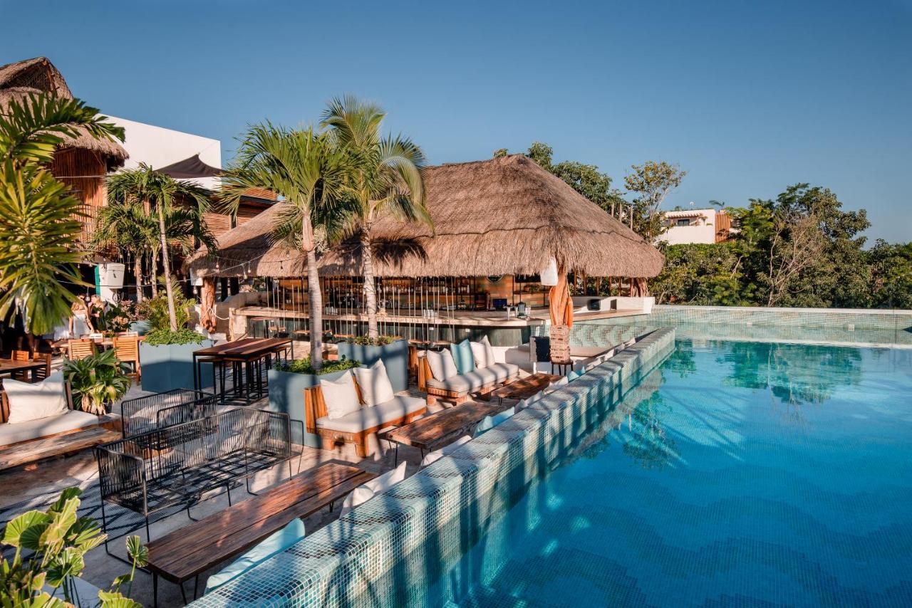 Mayan Monkey - Social (adults Only) Auberge de jeunesse *